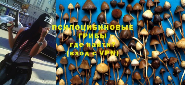 2c-b Белокуриха