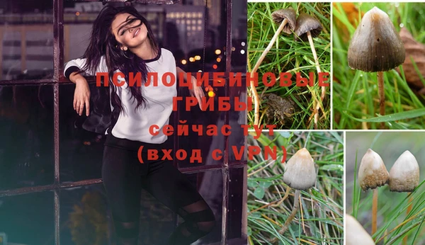 экстази Беломорск
