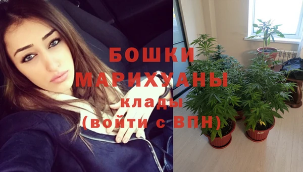 2c-b Белокуриха